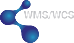 WMS / WCS -  Consulting for Modern Warehouses